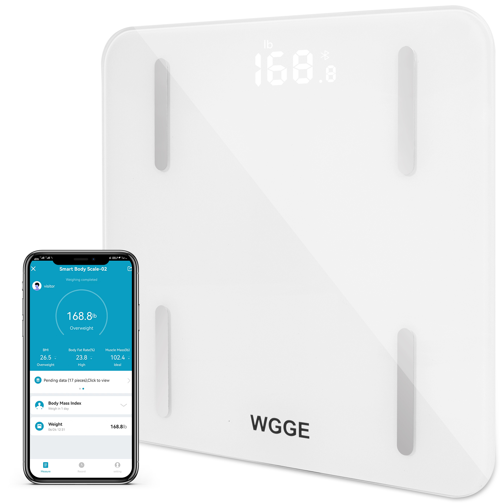 Bluetooth Smart Body Fat Scale with iOS and Android App, Including Weight,  BMI, Body Fat, Muscle Mass, Water Weight, and Bone Mass, etc.